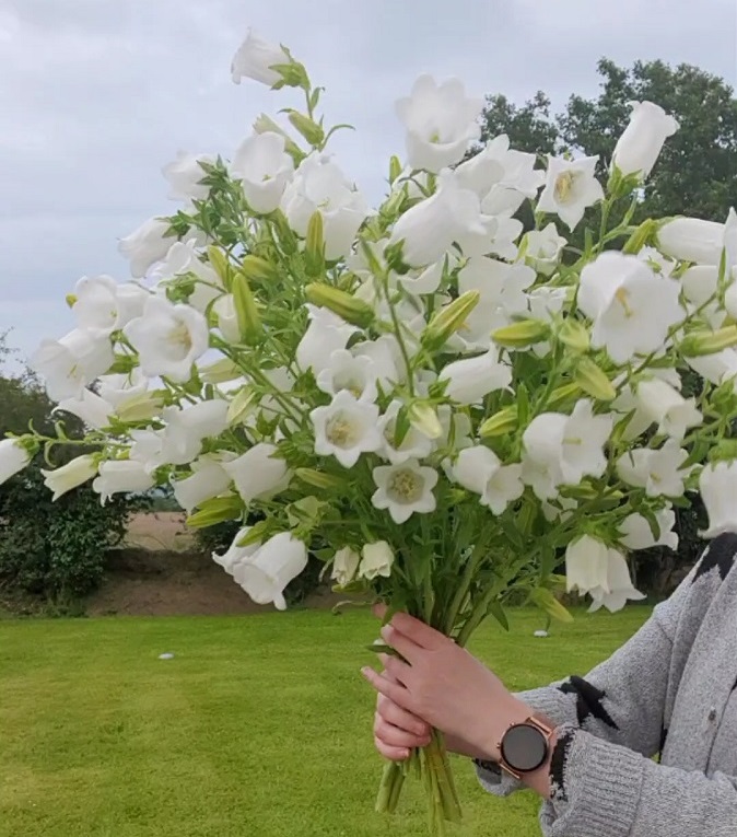 Florist Orders